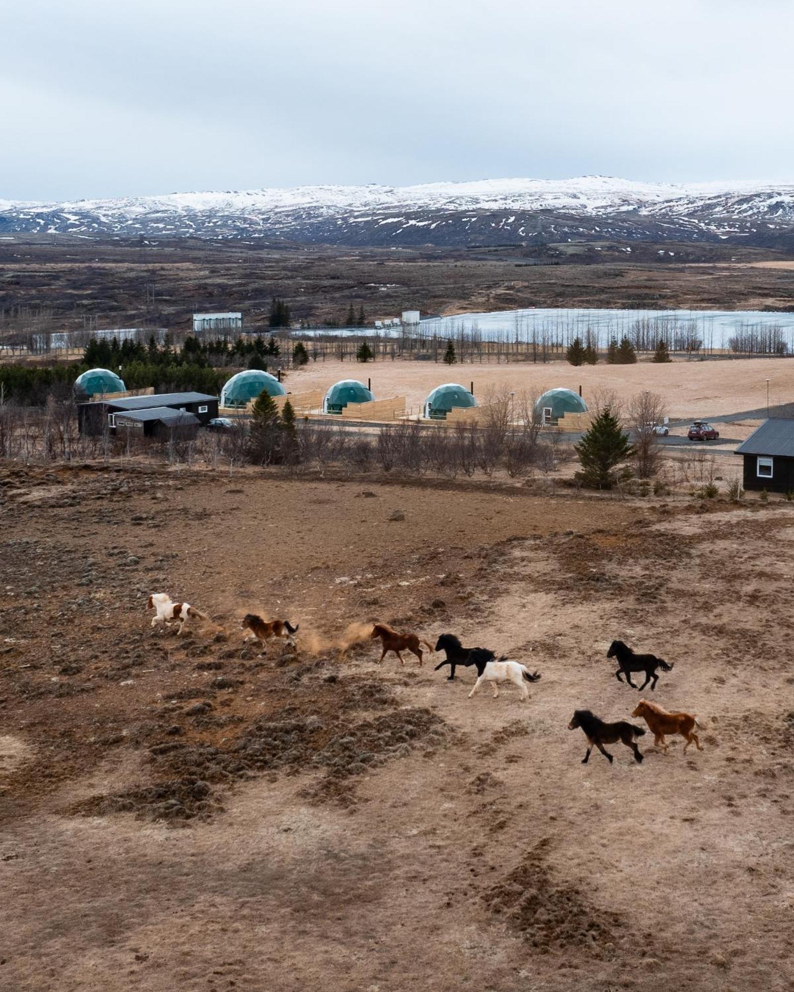 Golden Circle Domes - Lake View Selfoss Exterior foto